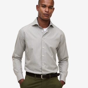 Specialist Stripe Cotton SH01036-OLV